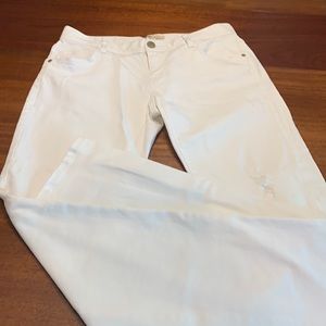 Cabi White Distressed Jeans Style 331